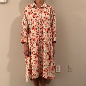 Zara Button Down Dress